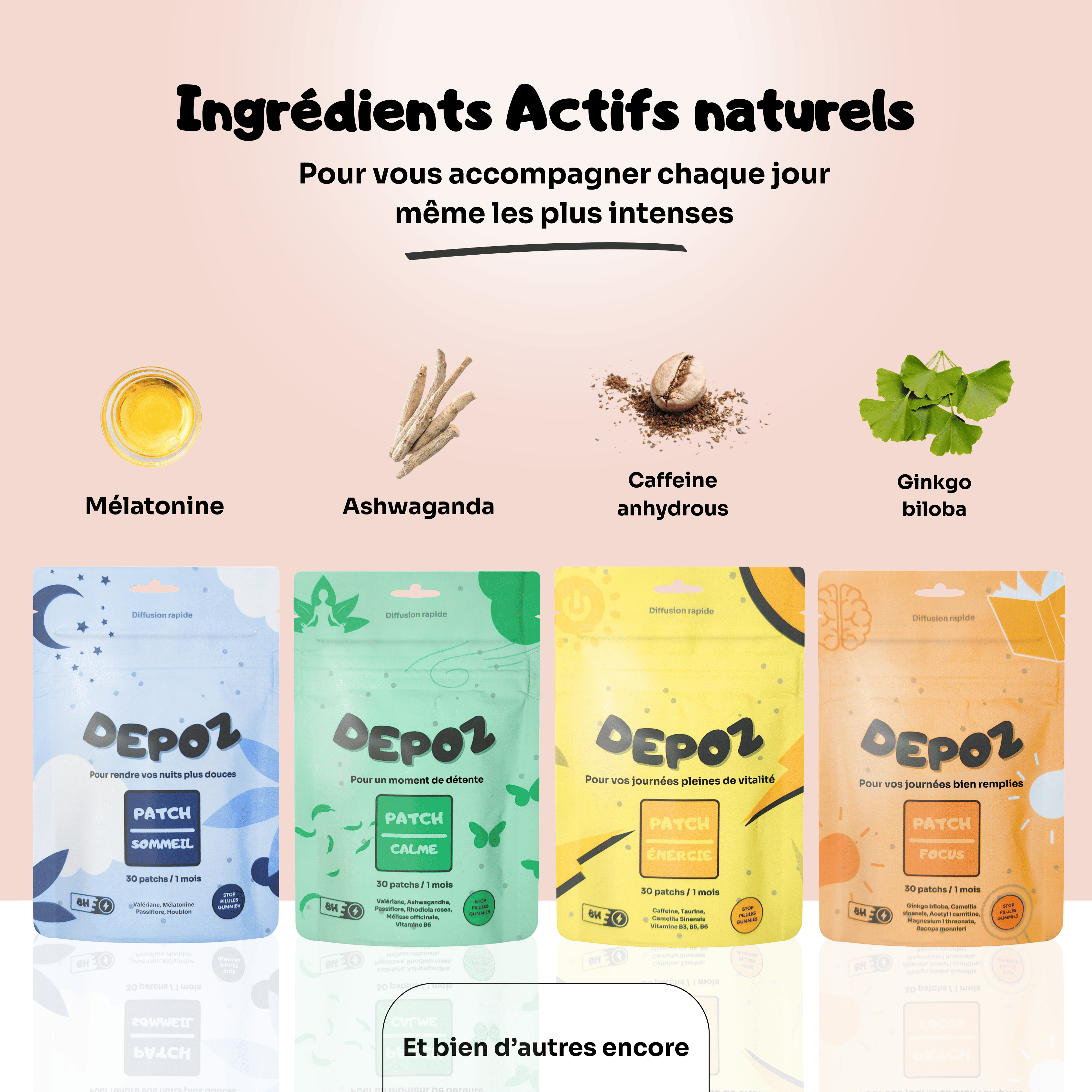 Pack Découverte